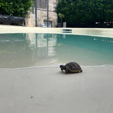 Basic Mansion Sibenik Gasthof 4*