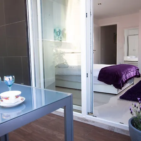 Basic Mansion Plus With Swimming Pool & Free Parking 4* Sibenik