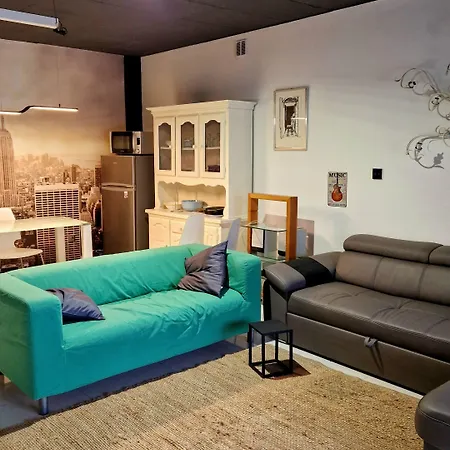 Гостевой дом Basic Mansion 4*