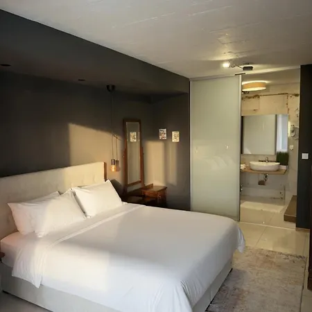 Basic Mansion Plus With Swimming Pool & Free Parking Guest house 4*