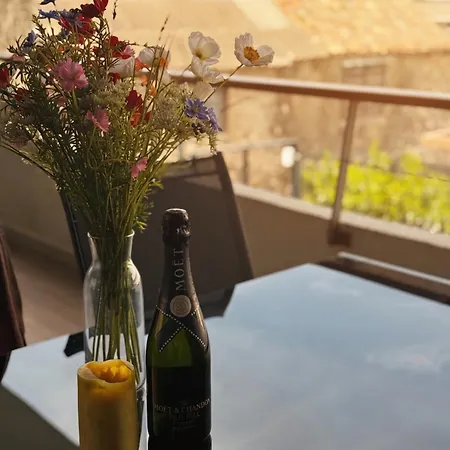 Basic Mansion Plus With Swimming Pool & Free Parking Sibenik