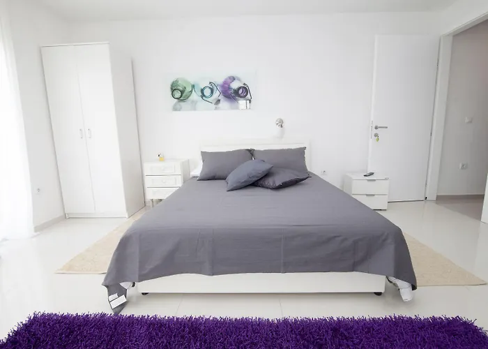 招待所 Basic Mansion 希贝尼克