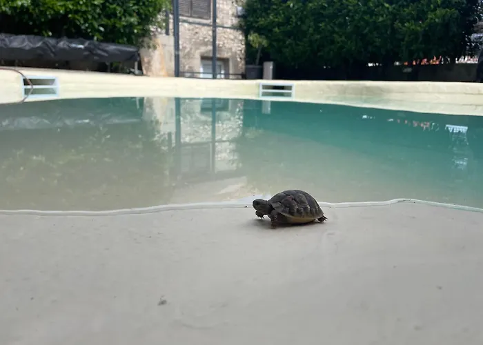 Basic Mansion Sibenik Gasthof 4*