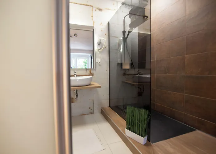 Basic Mansion 招待所