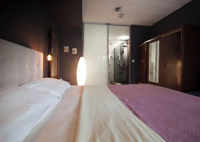 招待所 Basic Mansion 希贝尼克