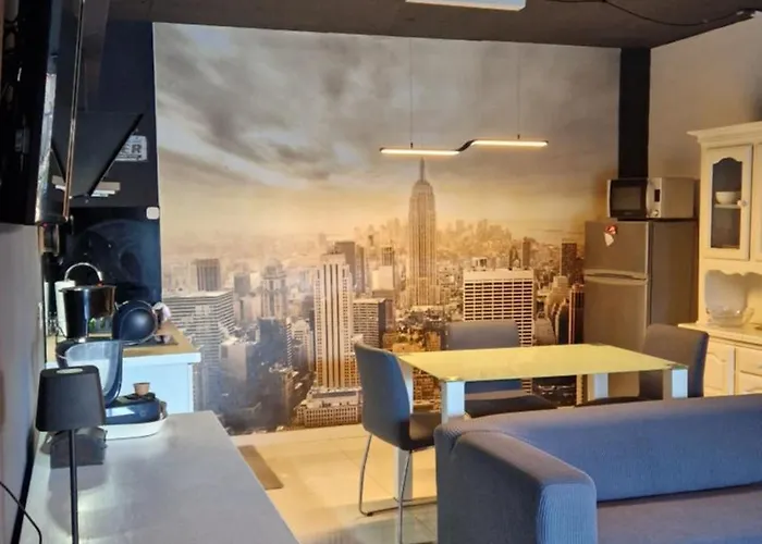 招待所 Basic Mansion 4*