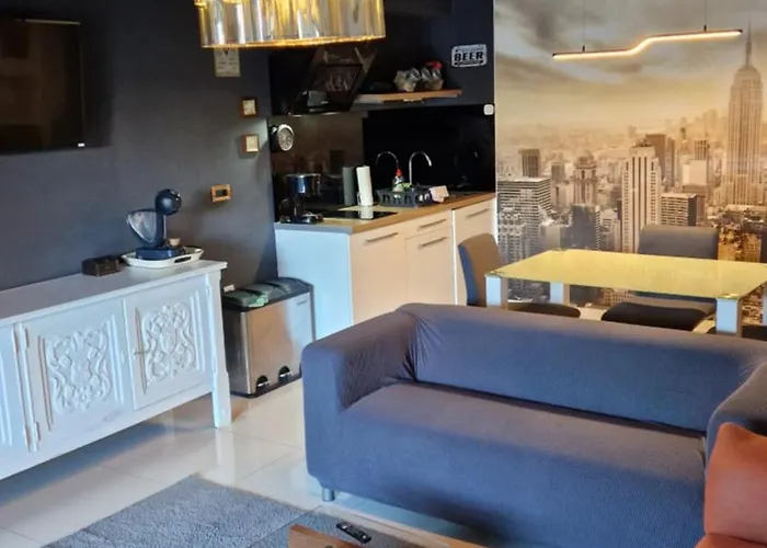 招待所 Basic Mansion 希贝尼克